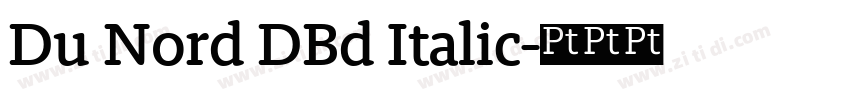 Du Nord DBd Italic字体转换